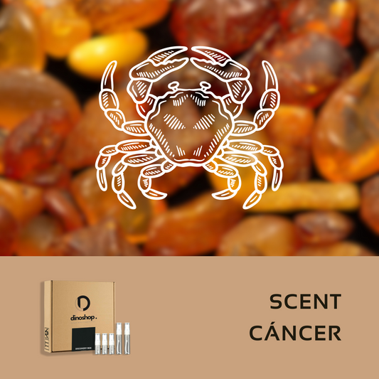 Scent Cáncer