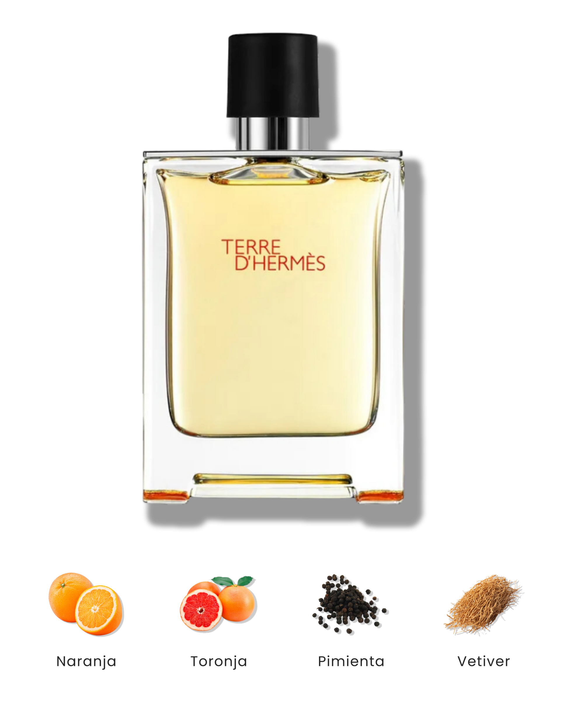 Terre D'Hermès Eau de Toilette