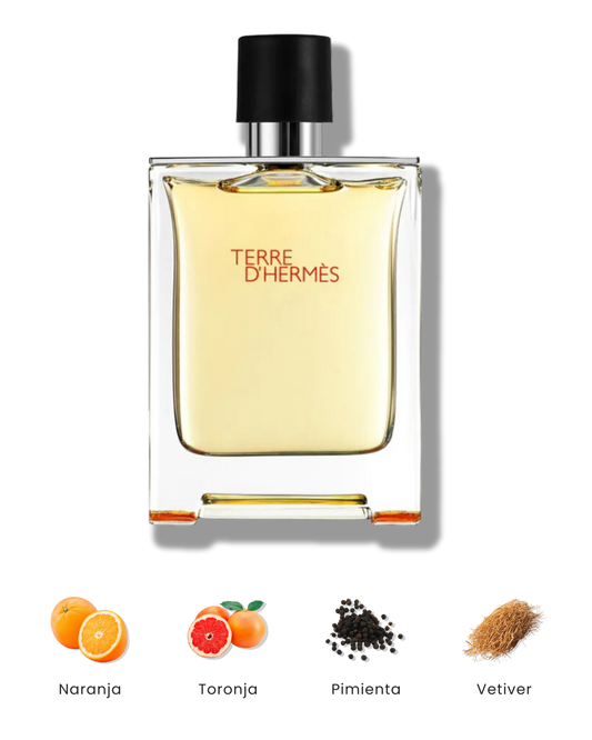 Terre D'Hermès Eau de Toilette