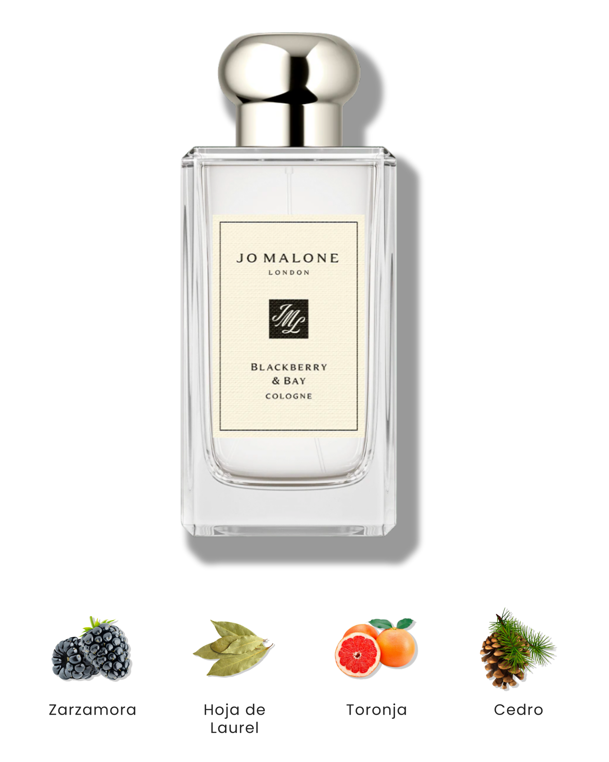 Blackberry & Bay Eau de Cologne